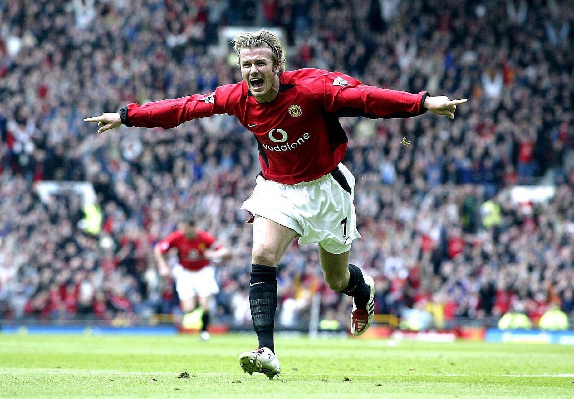 上均占据明 上均占据明